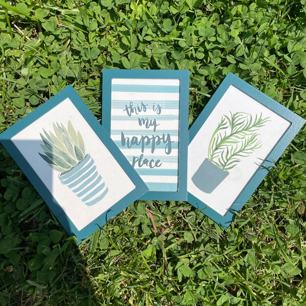 Plant Decor